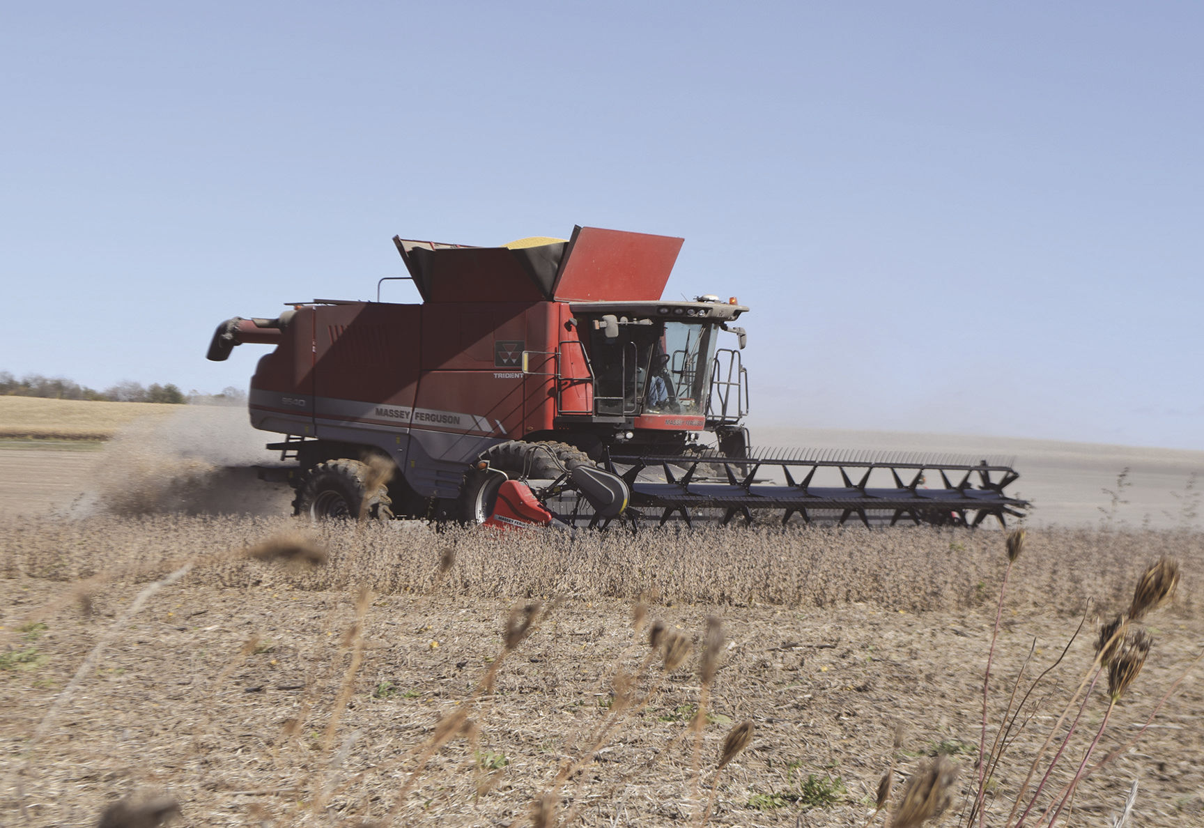 Soybean Harvest